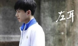 杨洋综艺爆料视频大全,揭秘明星幕后趣事