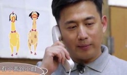 黄磊吃鸡爆料事件视频在线观看